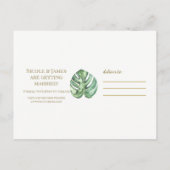 トロピカルオアシスピンクグリーンハワイアン保存日 案内ポストカード (裏面)