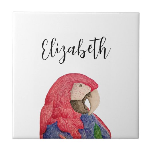 トロピカルオウムスケッチカラフルマコー タイル (正面)