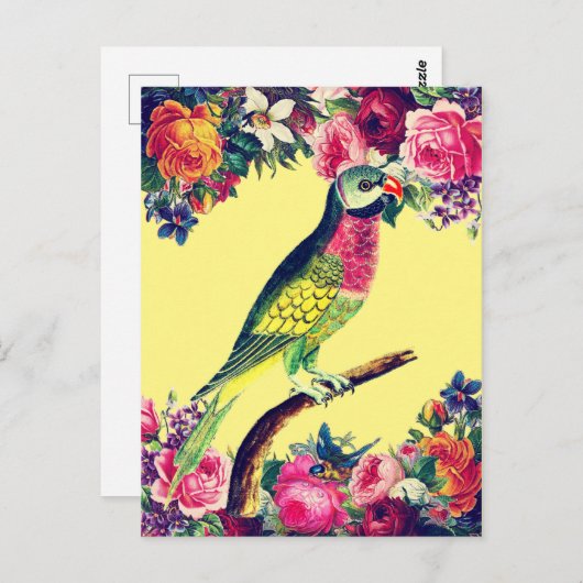 トロピカルオウムヴィンテージデザイン ポストカード (正面/裏面)