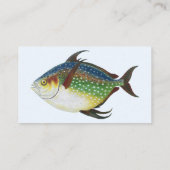 トロピカルオパーフィッシュ、ヴィンテージ海洋動物 名刺 (裏面)