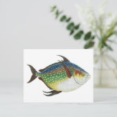 トロピカルオパーフィッシュ、ヴィンテージ海洋水生動物 ポストカード (スタンド正面)