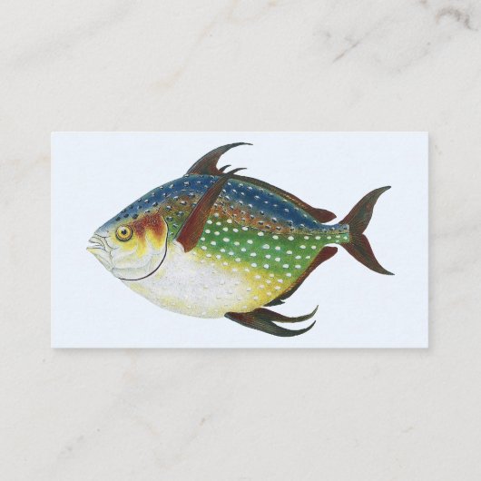 トロピカルオパーフィッシュ、ヴィンテージ海洋水生動物 名刺 (裏面)