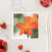 トロピカルオレンジオーキッドペーパーナプキン スタンダードカクテルナプキン (インサイチュ)