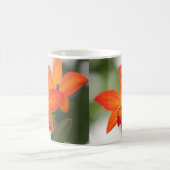 トロピカルオレンジオーキッドマグ コーヒーマグカップ (中央)