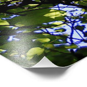 トロピカルカタルパの木の野生自然 フォトプリント (角)