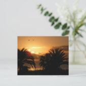 トロピカルカナリア諸島サンライズRIU ポストカード (スタンド正面)