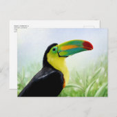 トロピカルカラフルバードブラックイエローグリーントゥーカン ポストカード (正面/裏面)