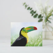 トロピカルカラフルバードブラックイエローグリーントゥーカン ポストカード (スタンド正面)
