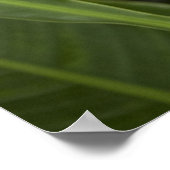 トロピカルカラー ポスター (角)