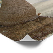 トロピカルカリブのアイランドベリーズビーチアンドパームズ ポスター (角)