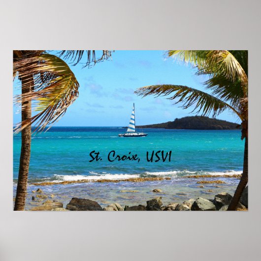 トロピカルカリブの ポスター (正面)