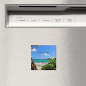 トロピカルカリブの マグネット (インサイチュ (食洗機))