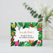 トロピカルガーデン離れズの日付はがきを保存 案内ポストカード (スタンド正面)