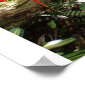 トロピカルガーデン ポスター (角)