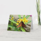 トロピカルクイーンバタフライ, FL – カード (正面)