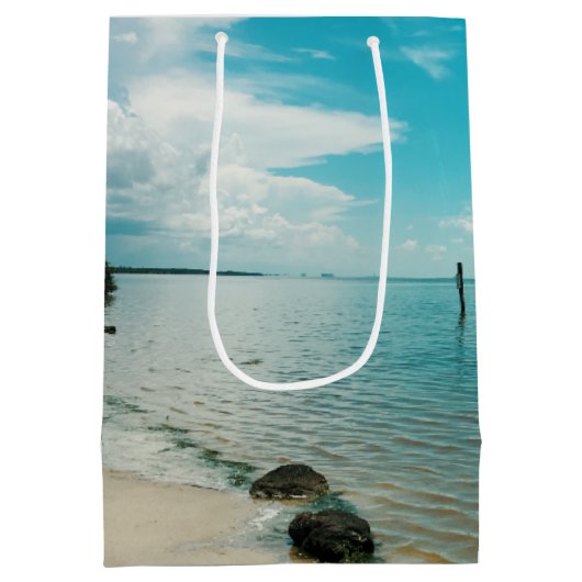 トロピカルクリスマスヒトデ抱き枕 ミディアムペーパーバッグ (裏面)