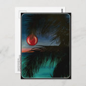 「トロピカルクリスマスモーニング」はがき ポストカード (正面/裏面)