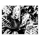 トロピカルクロトン植物スタンプ ラバースタンプ (インプリント)