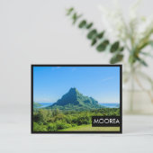 トロピカルグリーンムーア黒枠はがき ポストカード (スタンド正面)