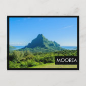 トロピカルグリーンムーア黒枠はがき ポストカード (正面)