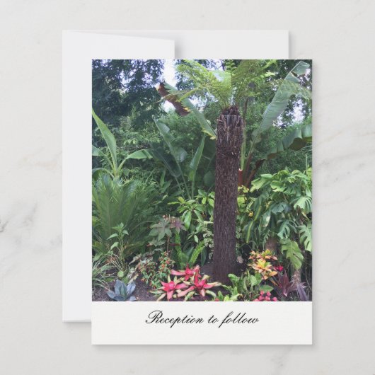 トロピカルグリーン結婚式招待状 招待状 (裏面)