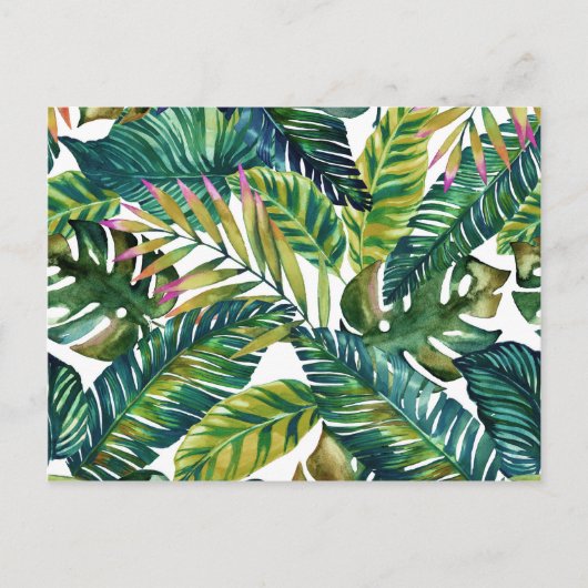 トロピカルグリーン葉ハガキ ポストカード (正面)