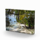 トロピカルグローブビーチ フォトブロック (右)