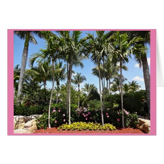 トロピカルココナッツプランテーションボニタ春フロリダ (正面横)