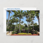 トロピカルココナッツプランテーションボニタ春フロリダ ポストカード (正面/裏面)