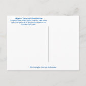 トロピカルココナッツプランテーションボニタ春フロリダ ポストカード (裏面)