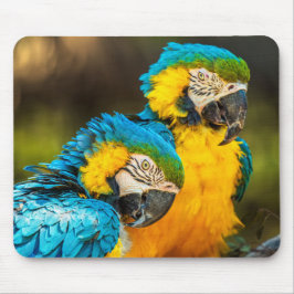 トロピカルコンパニオンズ野生動物写真壁画アートプリント マウスパッド