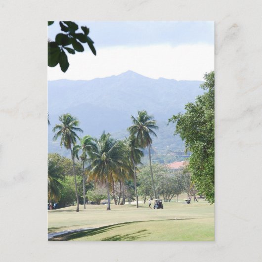 トロピカルゴルフコースポストカード ポストカード (正面)