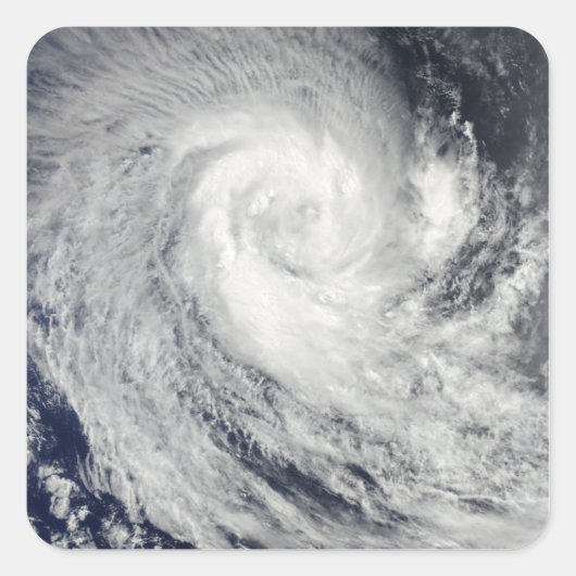 トロピカルサイクロンイマニ スクエアシール (正面)