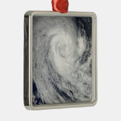 トロピカルサイクロンイマニ メタルオーナメント (右)