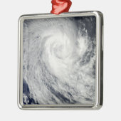 トロピカルサイクロンイマニ メタルオーナメント (左)