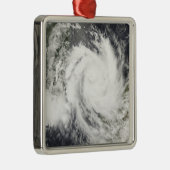 トロピカルサイクロンジョクウェ メタルオーナメント (右)