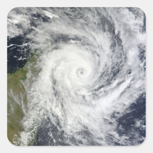 トロピカルサイクロンビンギサ スクエアシール (正面)