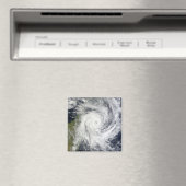 トロピカルサイクロンビンギサ マグネット (インサイチュ (食洗機))