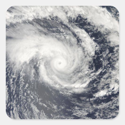 トロピカルサイクロンEdzaniの南インディアンOce スクエアシール (正面)