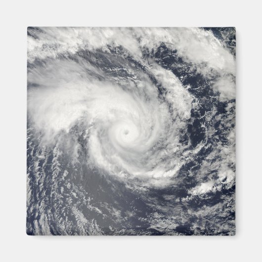 トロピカルサイクロンEdzaniの南インディアンOce マグネット (正面)