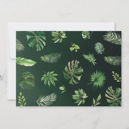 トロピカルサファリアニマルズワイルドワンバースデーボーイ 招待状 (裏面)