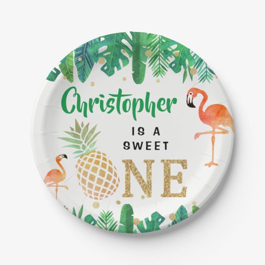 トロピカルサマービーチルアウ（ハワイ式宴会）ボーイズ1st誕生日 ペーパープレート (正面)