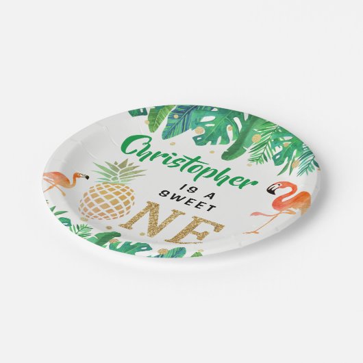 トロピカルサマービーチルアウ（ハワイ式宴会）ボーイズ1st誕生日 ペーパープレート (アングル)