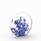 トロピカルサンゴ礁 フォトブロック (左)