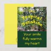 トロピカルサンシャインフラットグリーティングカード (正面/裏面)