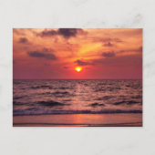 トロピカルサンセットナポリ、フロリダポストカード ポストカード (正面)