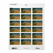 トロピカルサンセットパームフロント ラベル (フルシート)