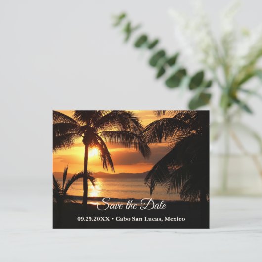 トロピカルサンセットビーチ日付ポストカードの保存 案内ポストカード (スタンド正面)