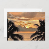 トロピカルサンセットプエルトバラータ ポストカード (正面/裏面)