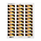 トロピカルサンセットメーリングラベル ラベル (フルシート)